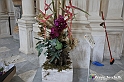 VBS_0269 - Corollaria Flower Exhibition 2022